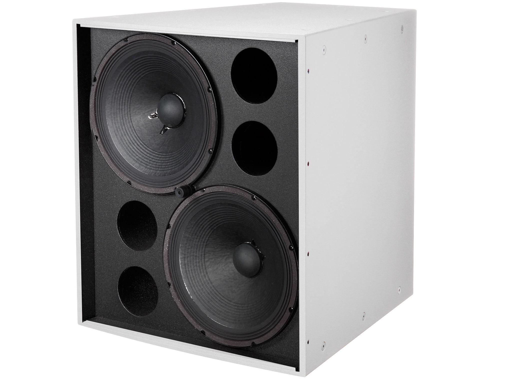 dual 15 inch subwoofer